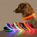 LED Dog Collar & Leash – Night Safety Light