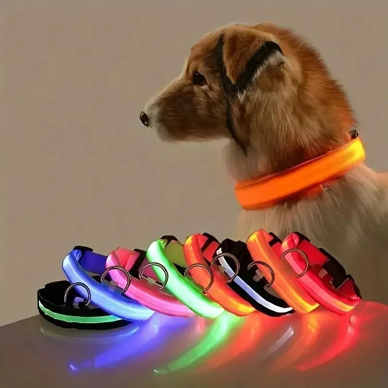 LED Dog Collar & Leash – Night Safety Light