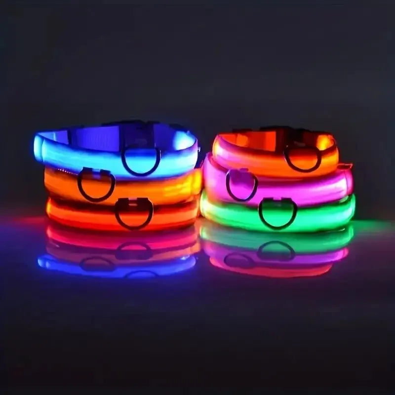 LED Dog Collar & Leash – Night Safety Light