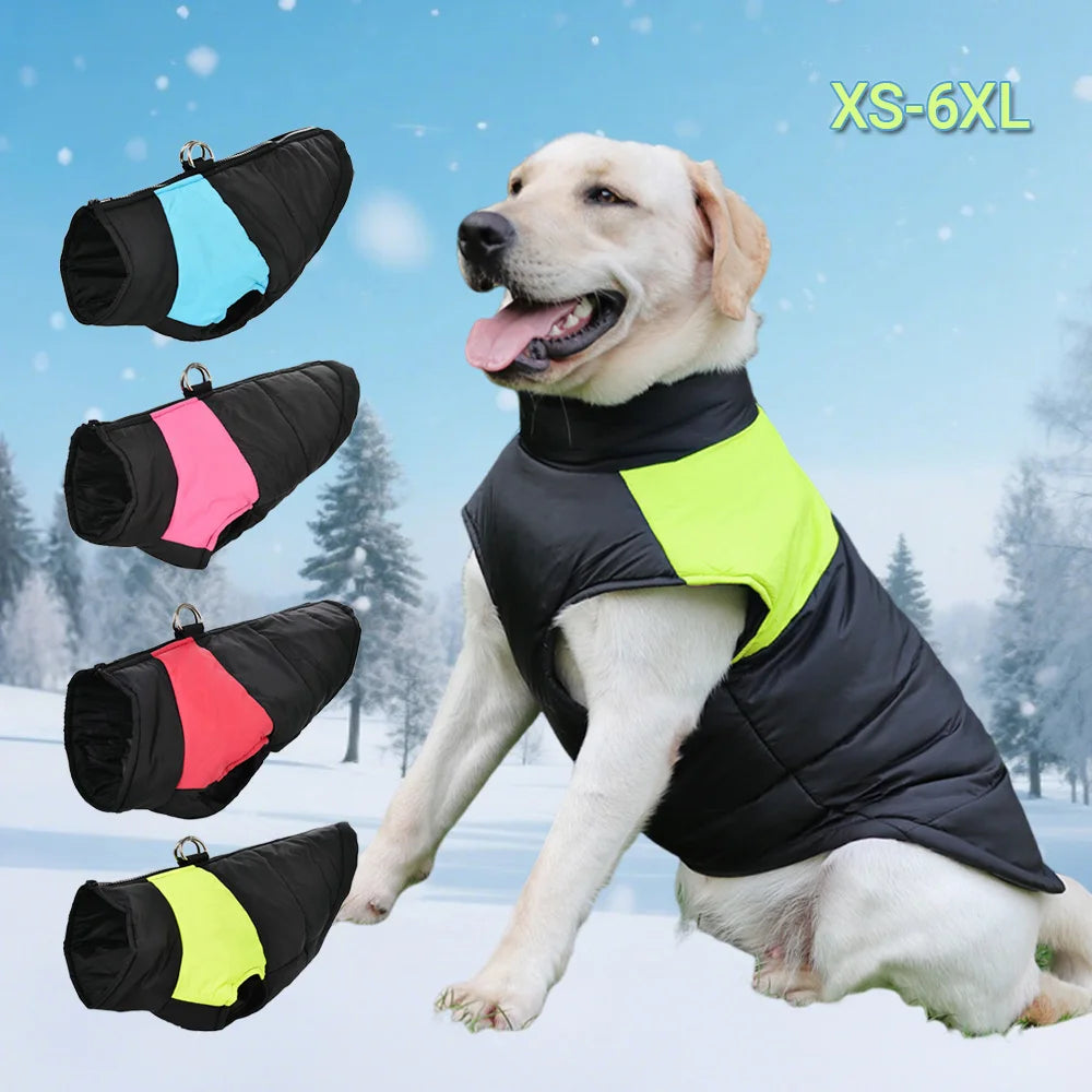 Windproof Winter Dog Jacket – Warm & Adjustable