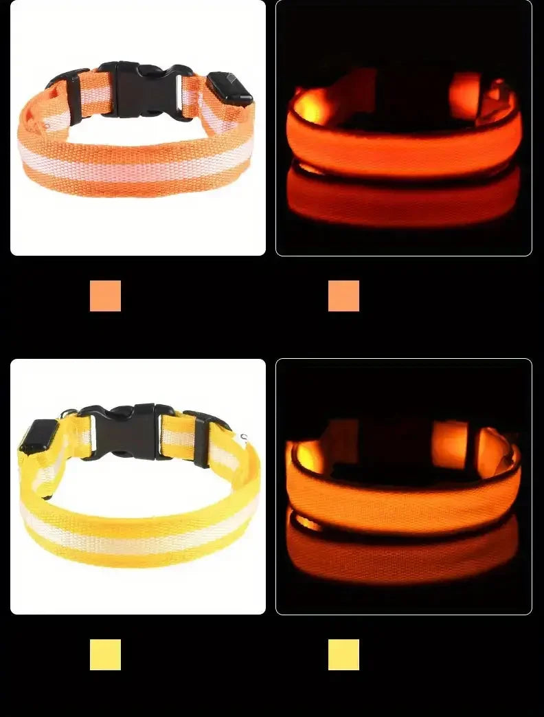 LED Dog Collar & Leash – Night Safety Light