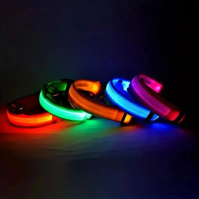 LED Dog Collar & Leash – Night Safety Light