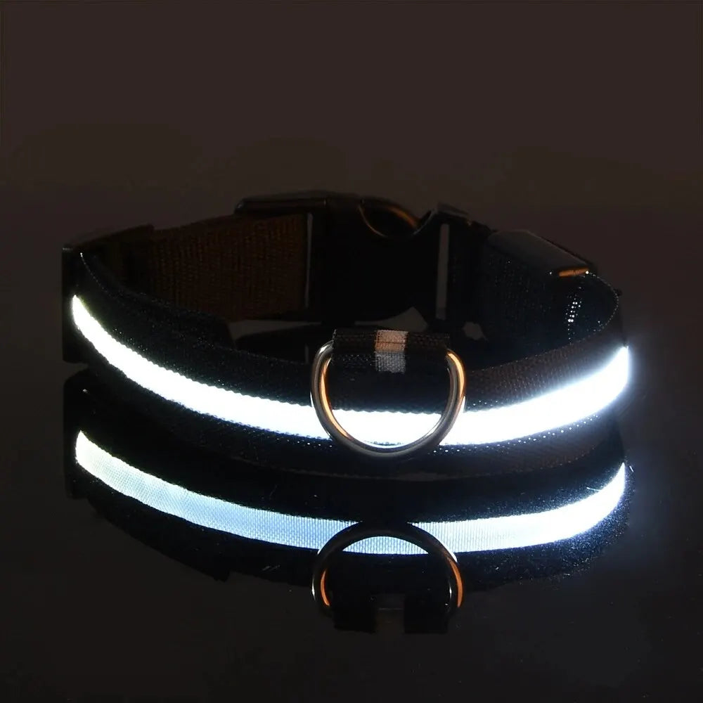 LED Dog Collar & Leash – Night Safety Light