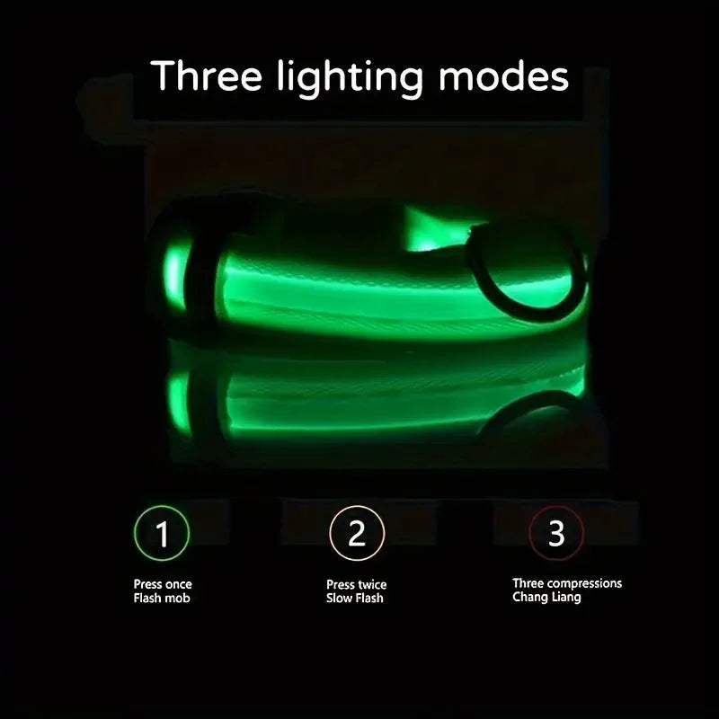LED Dog Collar & Leash – Night Safety Light