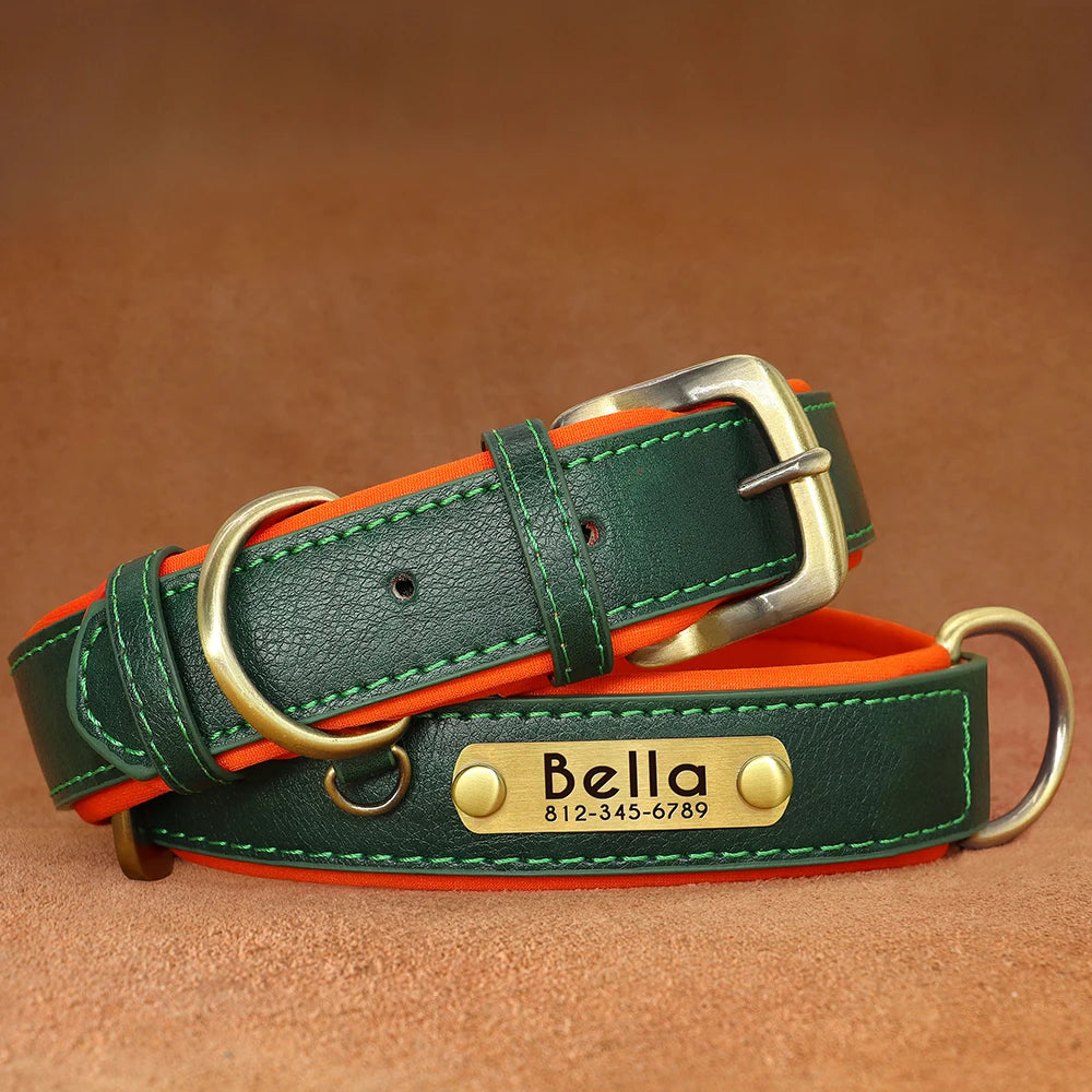 Personalized Dog Collar with Engraved Nameplate