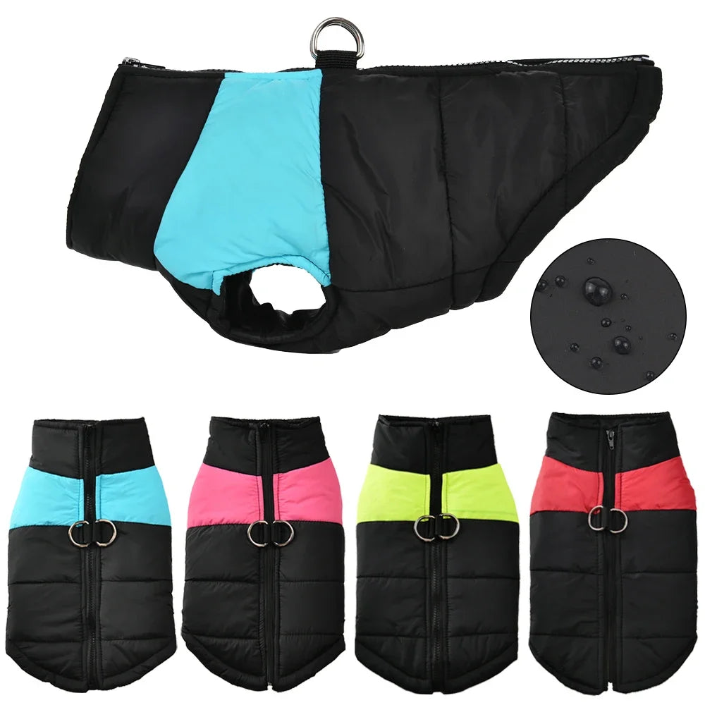 Windproof Winter Dog Jacket – Warm & Adjustable
