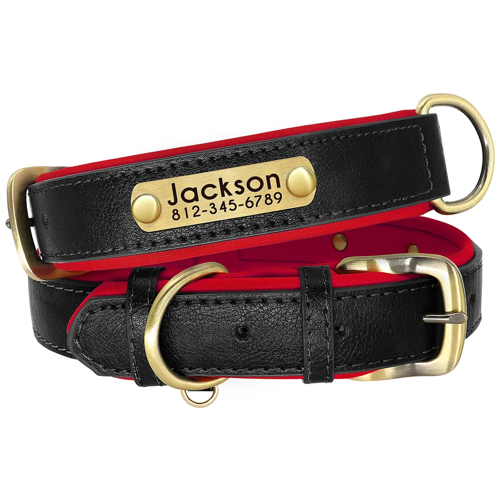 Personalized Dog Collar with Engraved Nameplate