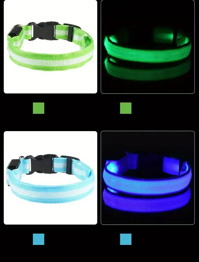 LED Dog Collar & Leash – Night Safety Light