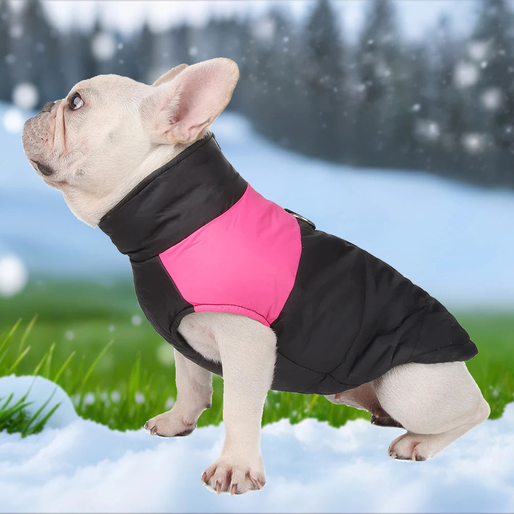 Windproof Winter Dog Jacket – Warm & Adjustable