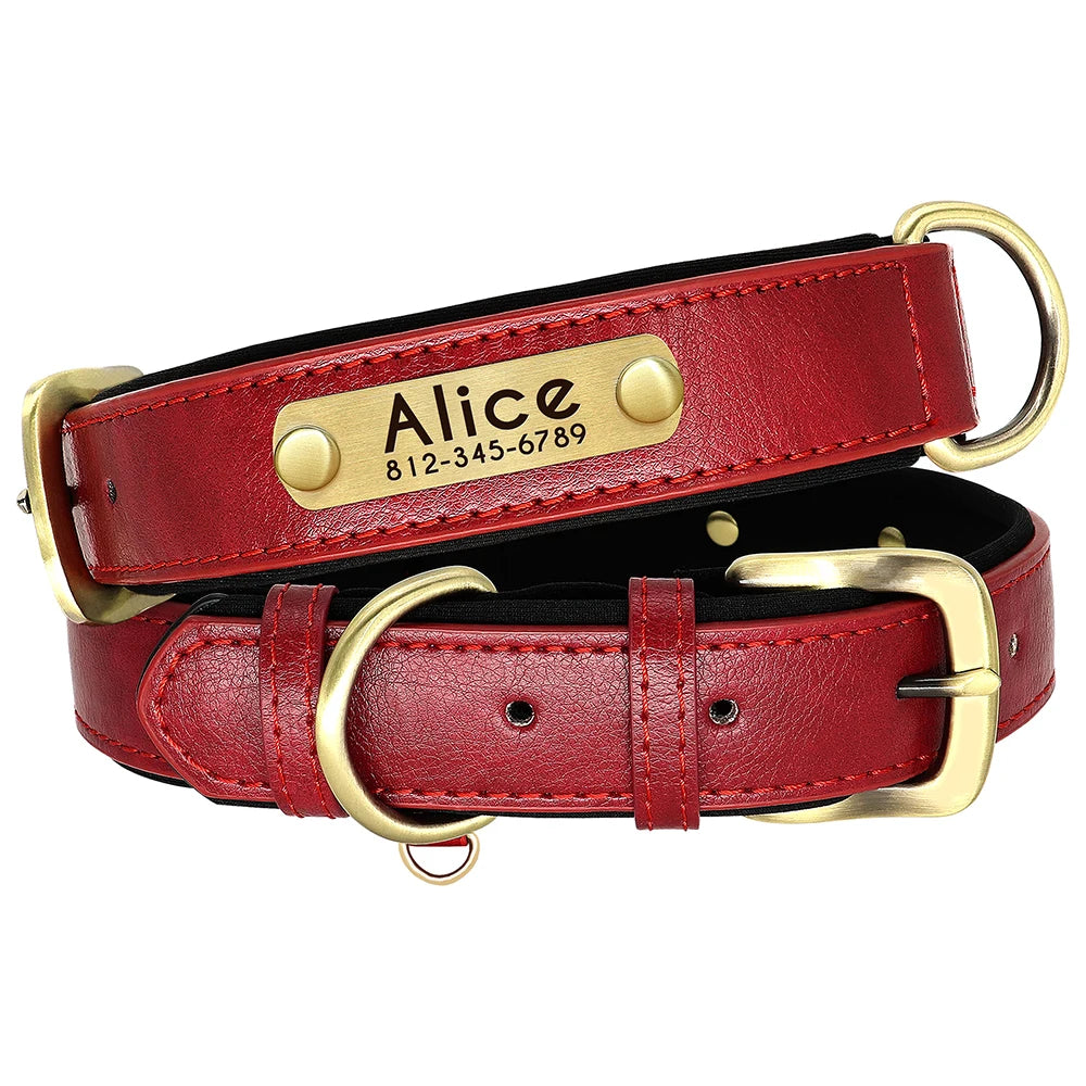 Personalized Dog Collar with Engraved Nameplate