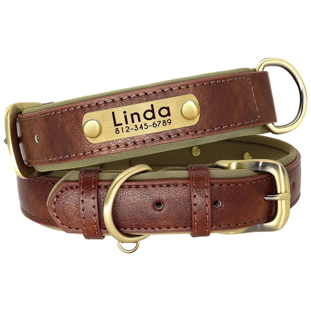 Personalized Dog Collar with Engraved Nameplate