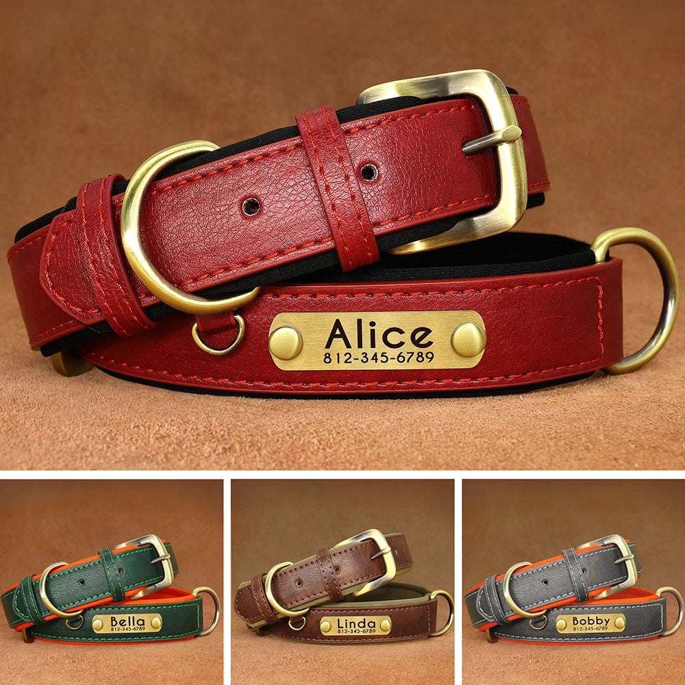 Personalized Dog Collar with Engraved Nameplate