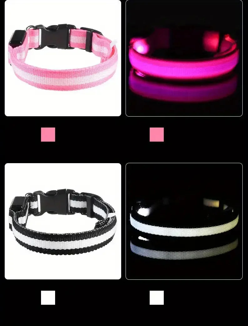 LED Dog Collar & Leash – Night Safety Light