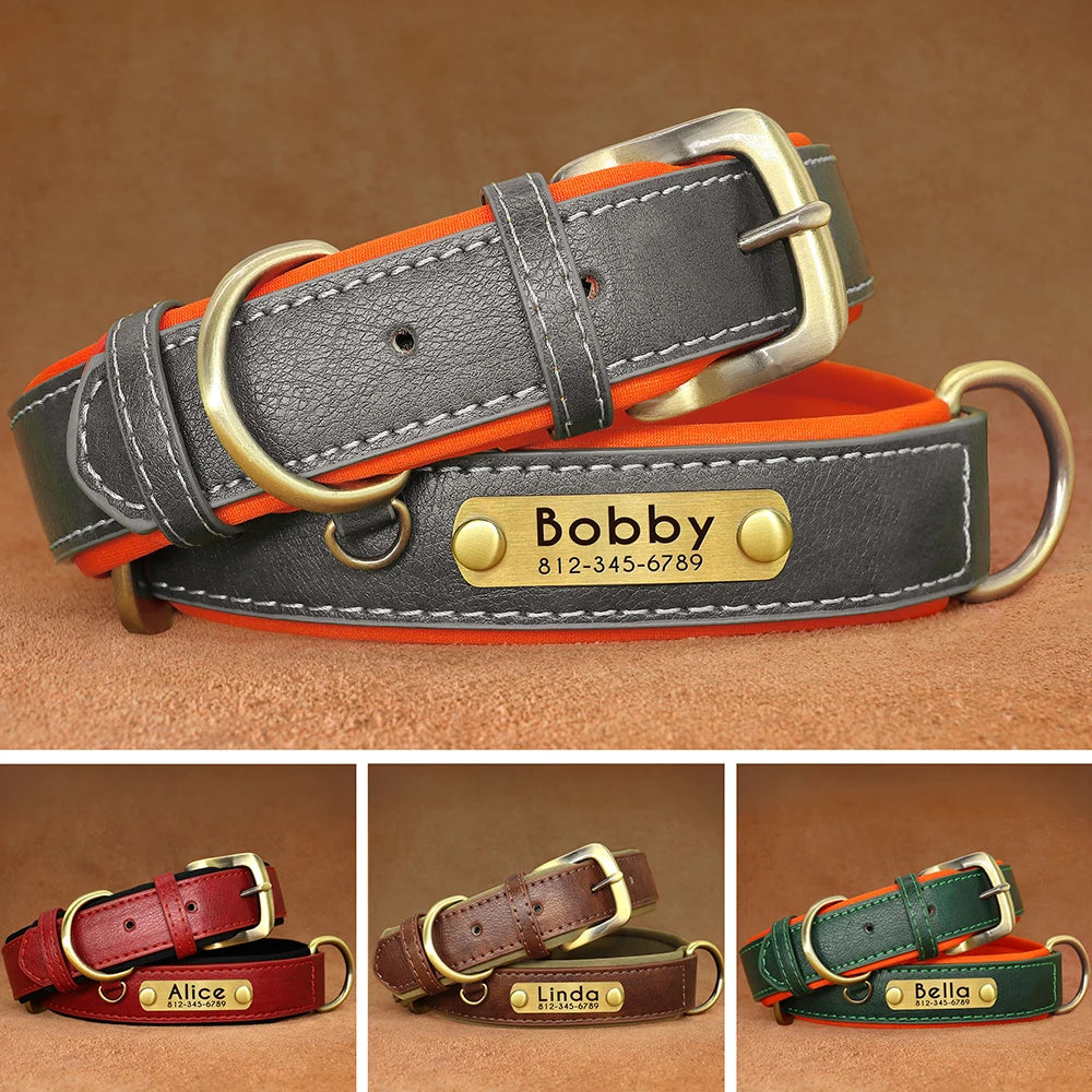 Personalized Dog Collar with Engraved Nameplate