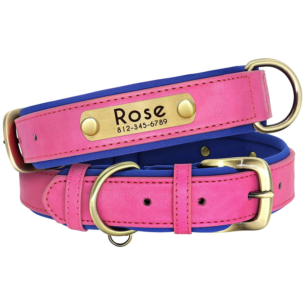 Personalized Dog Collar with Engraved Nameplate