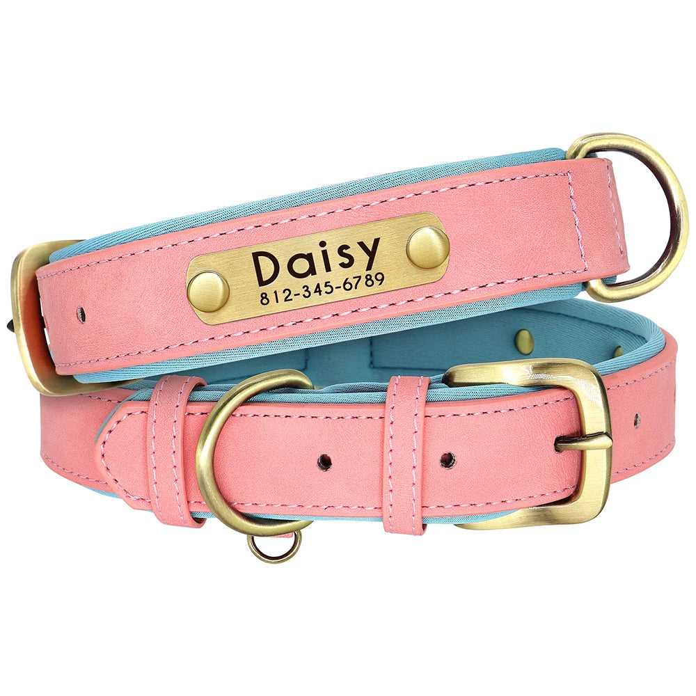 Personalized Dog Collar with Engraved Nameplate