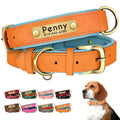 Personalized Dog Collar with Engraved Nameplate