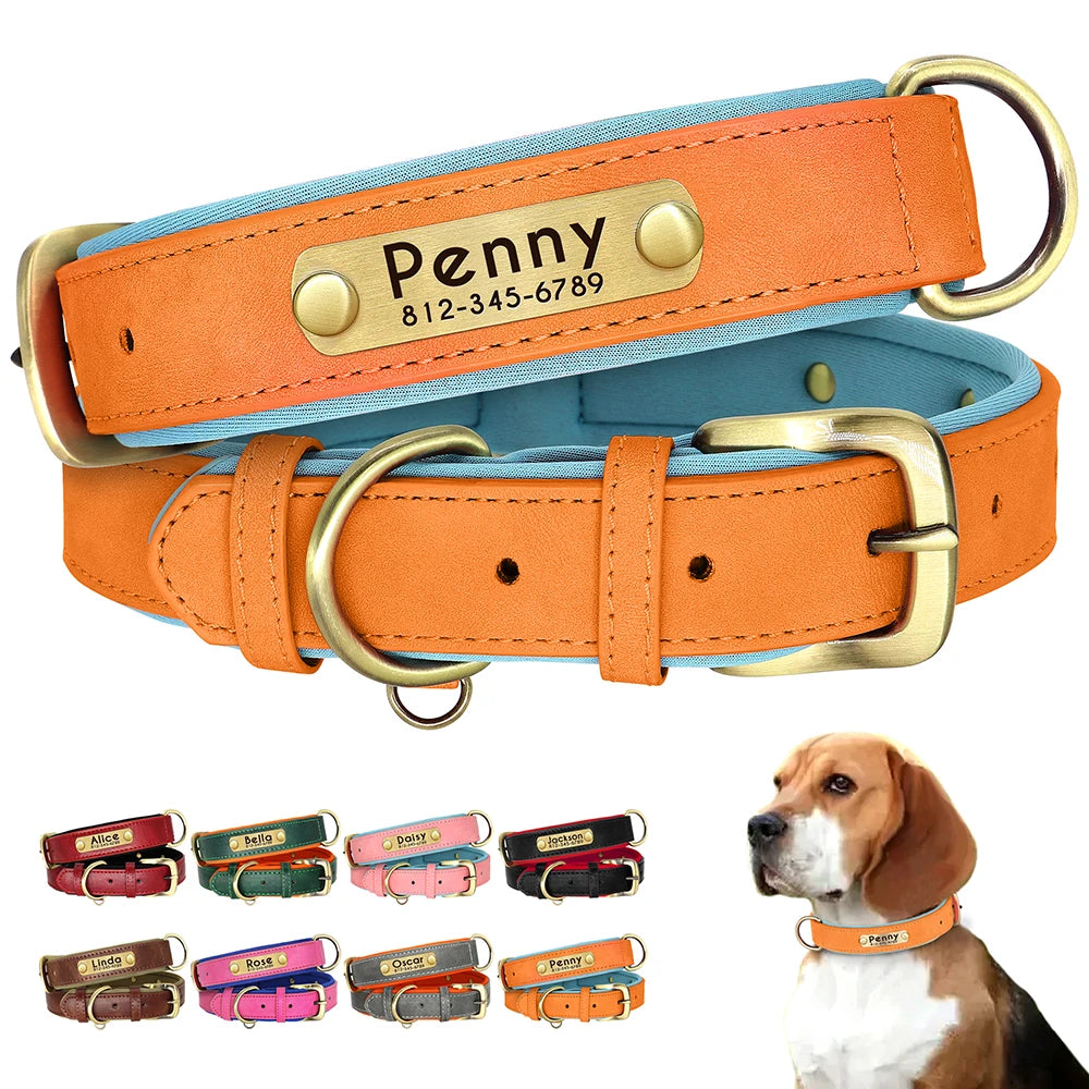 Personalized Dog Collar with Engraved Nameplate