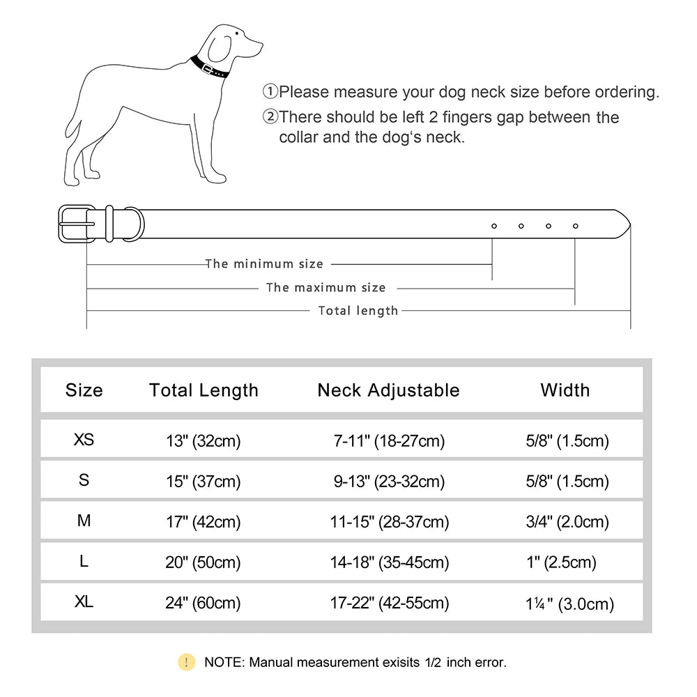 Personalized Dog Collar with Engraved Nameplate
